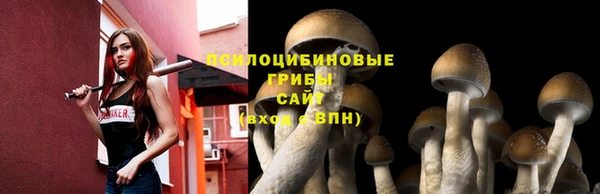 дурь Алзамай