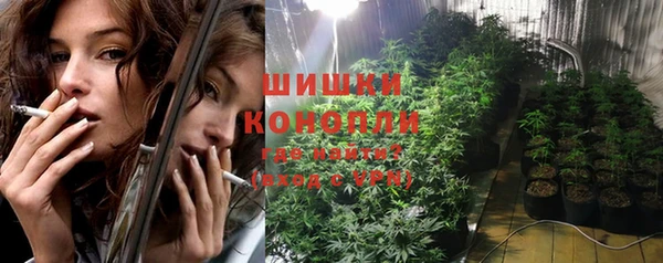 дурь Алзамай