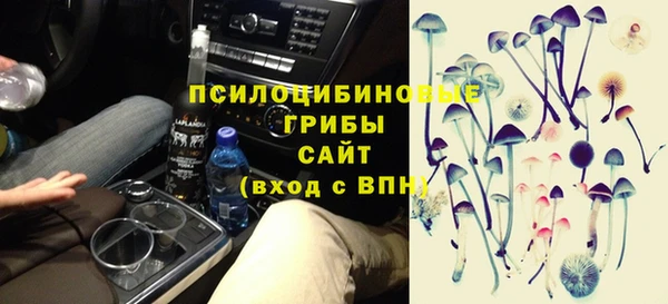 эйфоретик Алексин