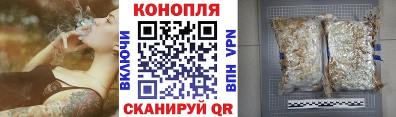 Бошки Шишки ГИДРОПОН  OMG маркетплейс  Киржач 